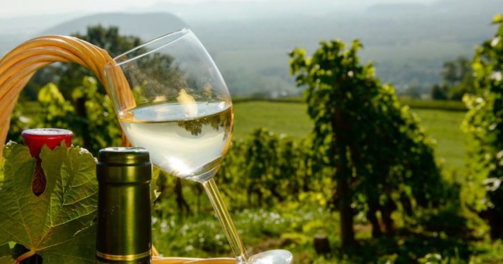 Taste Athens: Οινοτουρισμός και γαστρονομία στην Αττική