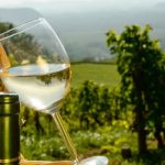 Taste Athens: Οινοτουρισμός και γαστρονομία στην Αττική