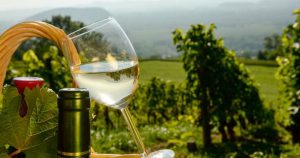 Taste Athens: Οινοτουρισμός και γαστρονομία στην Αττική